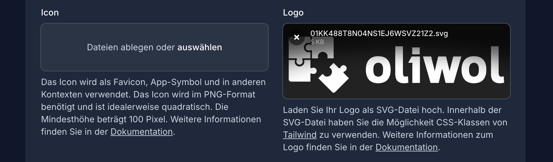 Upload-Bereich für das Logo im SVG-Format innerhalb der Publikationseinstellungen