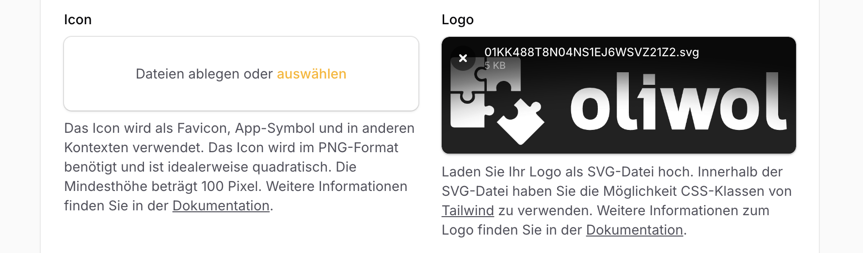 Upload-Bereich für das Logo im SVG-Format innerhalb der Publikationseinstellungen